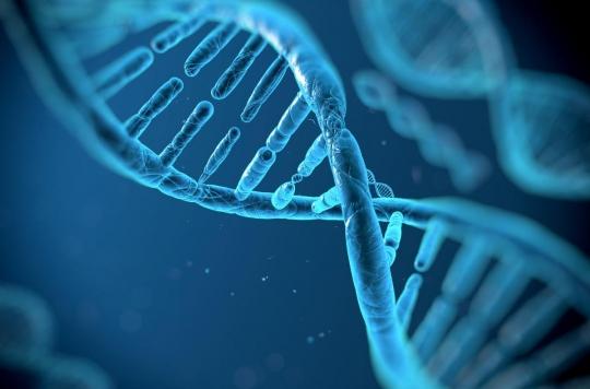 CRISPR : des scientifiques testent les « ciseaux génétiques » sur des cas de cancer et des virus 