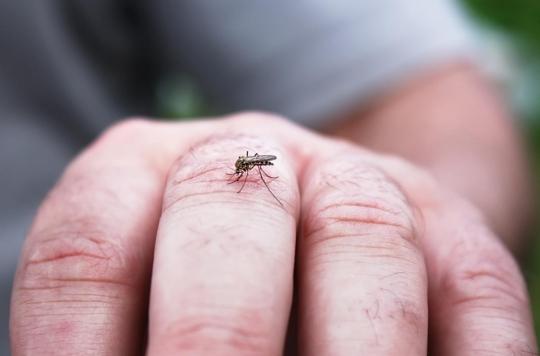 Why are mosquitoes more attracted to certain skins?