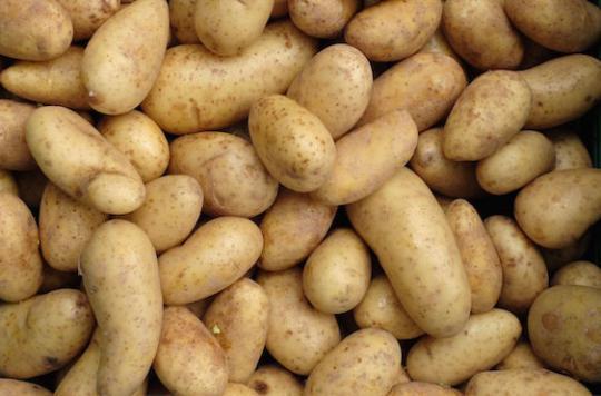 Diabète : manger trop de pommes de terre augmente les risques 