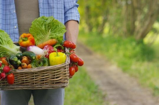 Manger plus d’aliments végétaux réduit le risque cardiovasculaire 