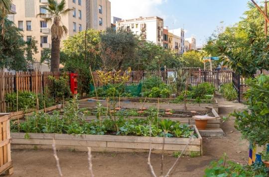 Les jardins potagers pourraient aider à lutter contre l'insécurité alimentaire et les carences nutritionnelles