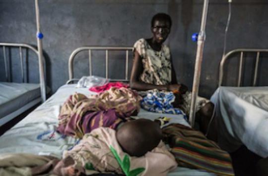 Paludisme : l'OMS  dévoile un plan de 100 milliards pour l'éradiquer