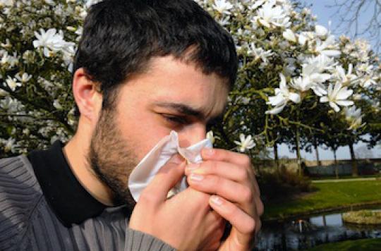Allergies : les pollens de graminées passent à l'attaque