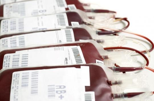 Transfusion : un sang artificiel universel serait en cours de développement