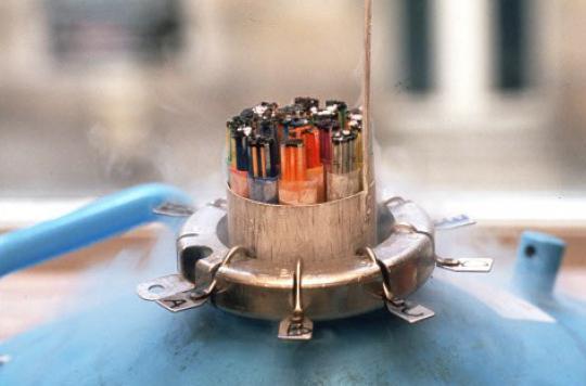 Sperme et ovocytes : une campagne pour relancer les dons