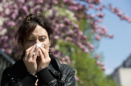 Allergies : le changement climatique augmente les risques
