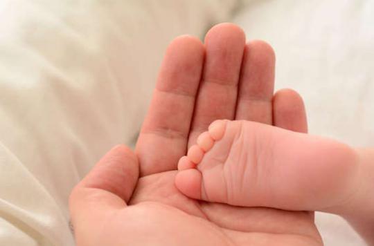 GPA : le tribunal reconnaît trois bébés nés à l’étranger 