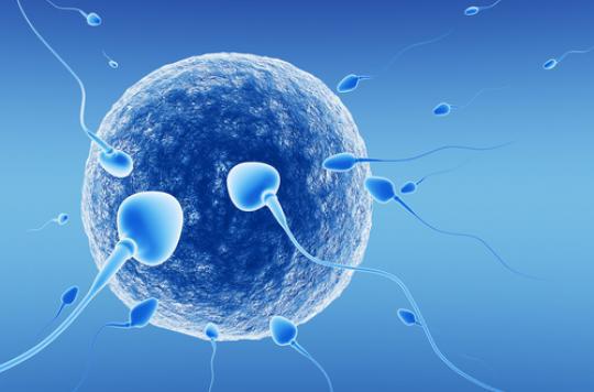 Fertilité : des spermatozoïdes humains créés à partir de cellules de la peau