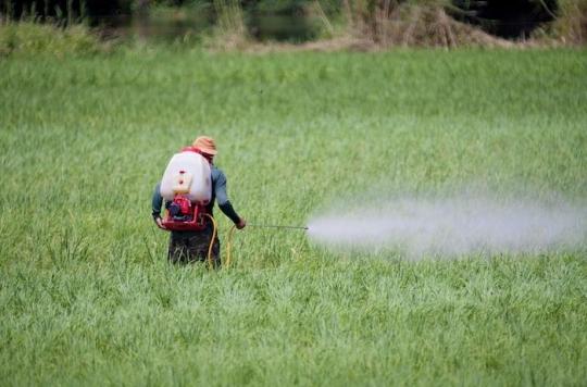 La France exporte dans plusieurs pays un herbicide qu'elle interdit