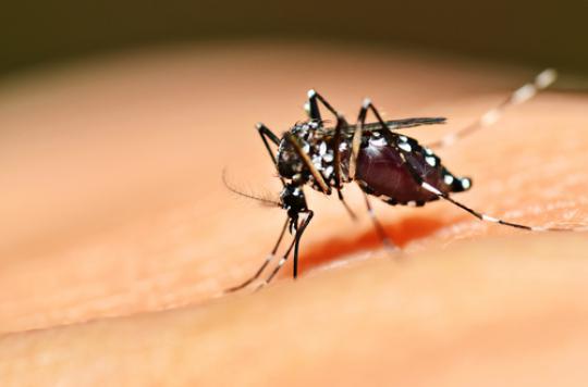 Dengue : menace écartée pour les JO 