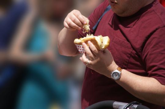 Alimentation :  la Belgique réduit de 5 % les apports caloriques