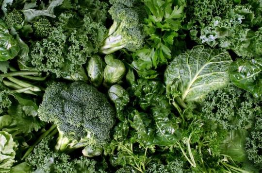 Au moins une portion de légumes verts par jour contre le vieillissement du cerveau 