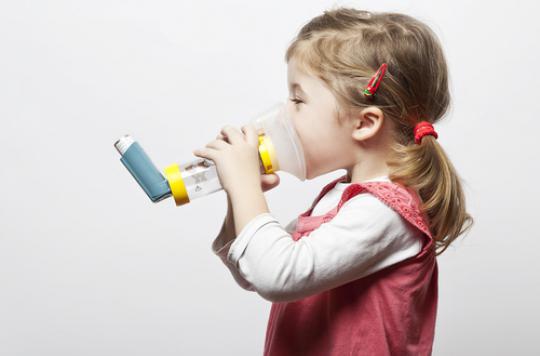 Asthme : une levure augmente les risques chez l’enfant