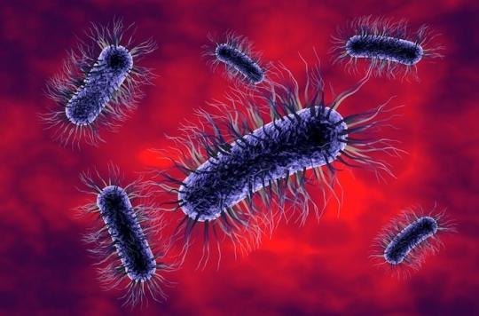 Polypose familiale : une association de bactéries fait le lit du cancer de l’intestin 