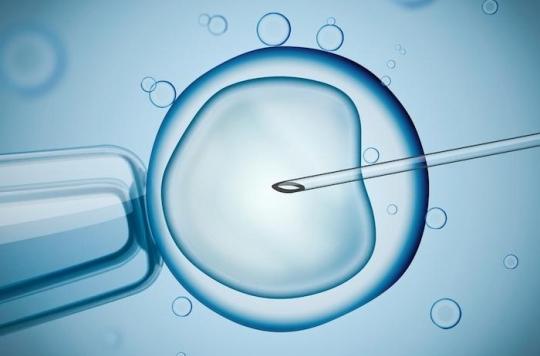 FIV : mêmes chances de grossesse avec des embryons frais ou congelés 