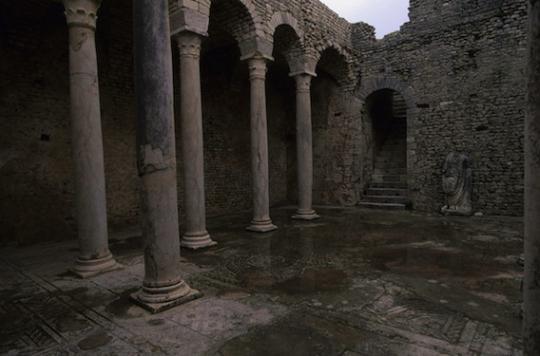 Antiquite L Empire Romain Etait Infeste De Parasites