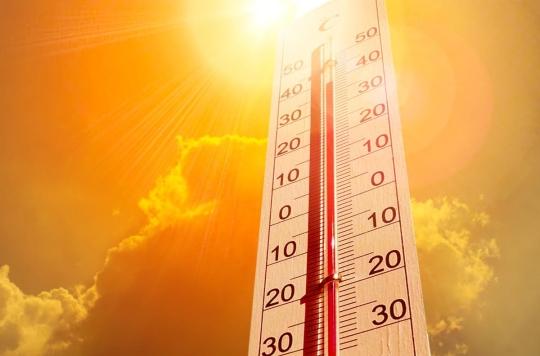 Vagues de chaleur : quand les fortes températures peuvent devenir mortelles