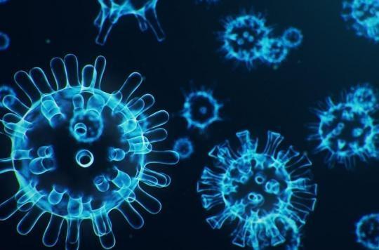 Coronavirus : des preuves de l'origine naturelle du SARS-CoV-2 