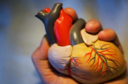 Toulouse : des chirurgiens cardiaques opèrent des enfants grâce à la 3D