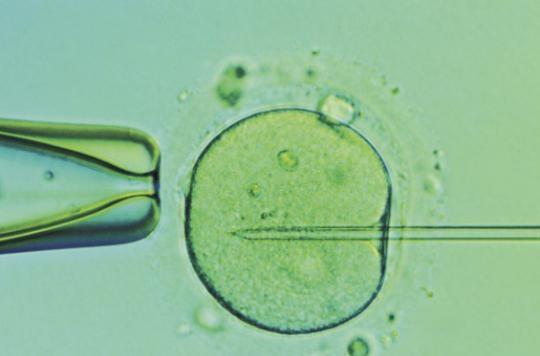 Un bébé naît à partir d'un embryon congelé en 1992