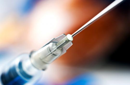 Dengue : Sanofi fournit 500 000 doses de vaccin au Brésil                          
