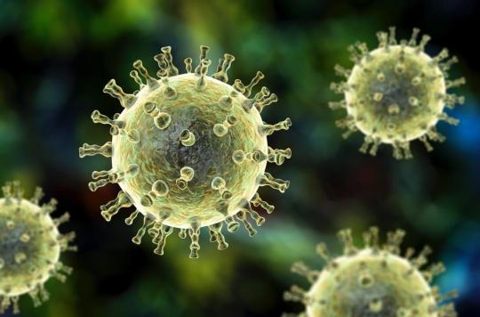 Alzheimer : les virus de l'herpès et de la varicelle en cause ?