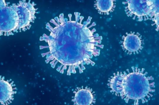 Des chercheurs découvrent un virus d’un nouveau type