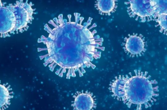 Grippe : l'action du système immunitaire peut aggraver la maladie 
