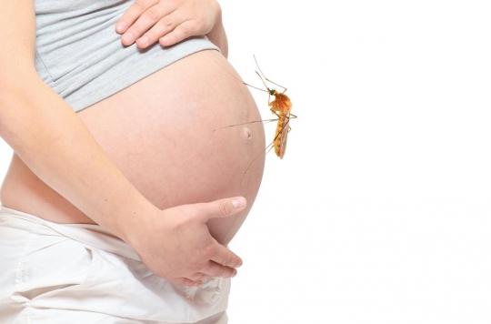 A haute dose, le vaccin Zika peut protéger les femmes enceintes et les fœtus