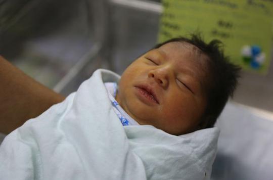 Zika : des bébés atteints de lésions oculaires sévères