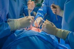 Décès après la greffe d'un coeur de porc : l'organe transplanté probablement infecté par un virus 