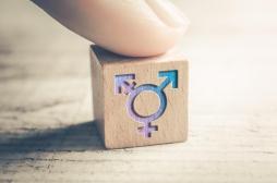 Greffe de l'utérus : ce qu'en pensent les femmes transgenres