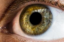 L’intelligence peut-elle se mesurer dans les pupilles ?