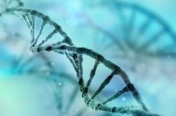 Lupus : un gène potentiellement responsable de son apparition a été identifié 