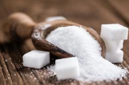 Un excès de sucre peut nuire au développement cérébral des enfants 