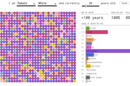 Mortalité : un calculateur simule les causes selon votre âge  