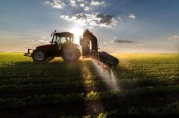 Pesticides: dangers des fongicides SDHI retrouvés dans l'alimentation