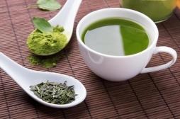 Obésité : le thé vert aiderait à perdre du poids 
