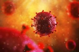 Vaccin contre le VIH: la piste d'anticorps génétiquement modifiés