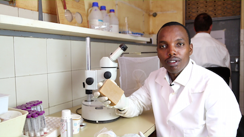 Afrique : un savon pour combattre le paludisme