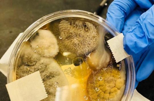 Les sèche-mains automatiques seraient des nids à microbes, même si Dyson dit le contraire 