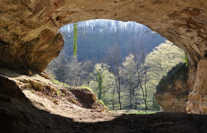 Préhistoire : de l’ADN trouvé dans des grottes sans ossements