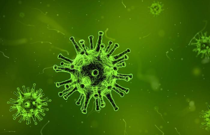 Des virus et des bactéries tombent chaque jour par milliards du ciel 
