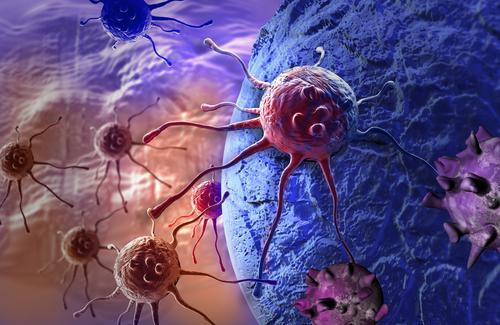 Tumeurs : remettre les cellules à l’heure ralentit leur croissance