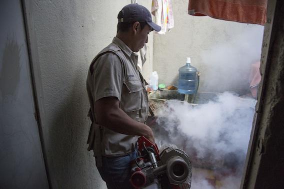 Zika : un premier cas de transmission sexuelle au Chili 