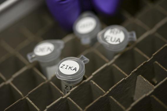 Zika : un possible nouveau mode de transmission du virus