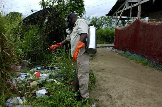 Zika : le littoral de la Guyane a atteint le seuil épidémique 