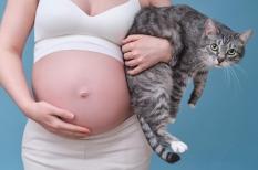 Toxoplasmose : des précautions en cas de grossesse ou d'immunodépression