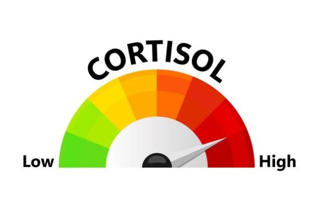 Syndrome de Cushing : un excès de cortisol aux multiples causes