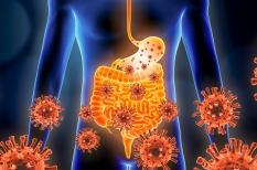 Gastro-entérite : une diarrhée aiguë surtout virale et épidémique
